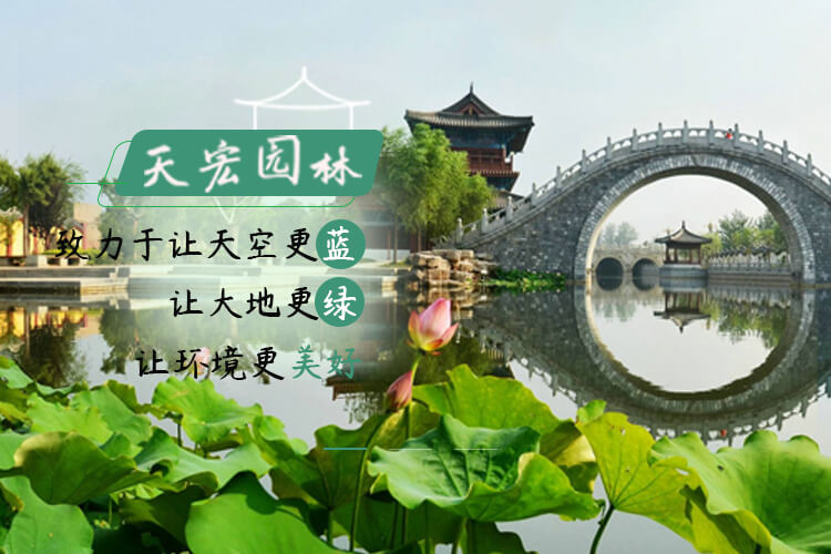 北京天宏園林綠化養護草莓视频黄app下载-草莓视频app在线下载观看-草莓视频黄版下载-黄色草莓视频app