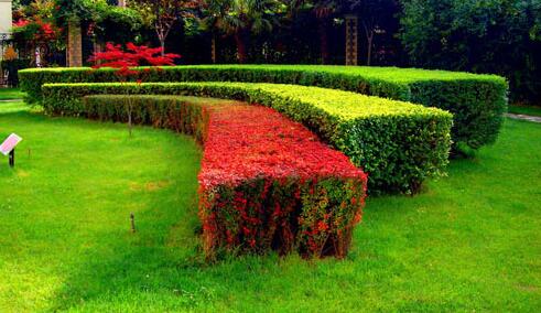 園林綠化工程施工常會碰到的誤區